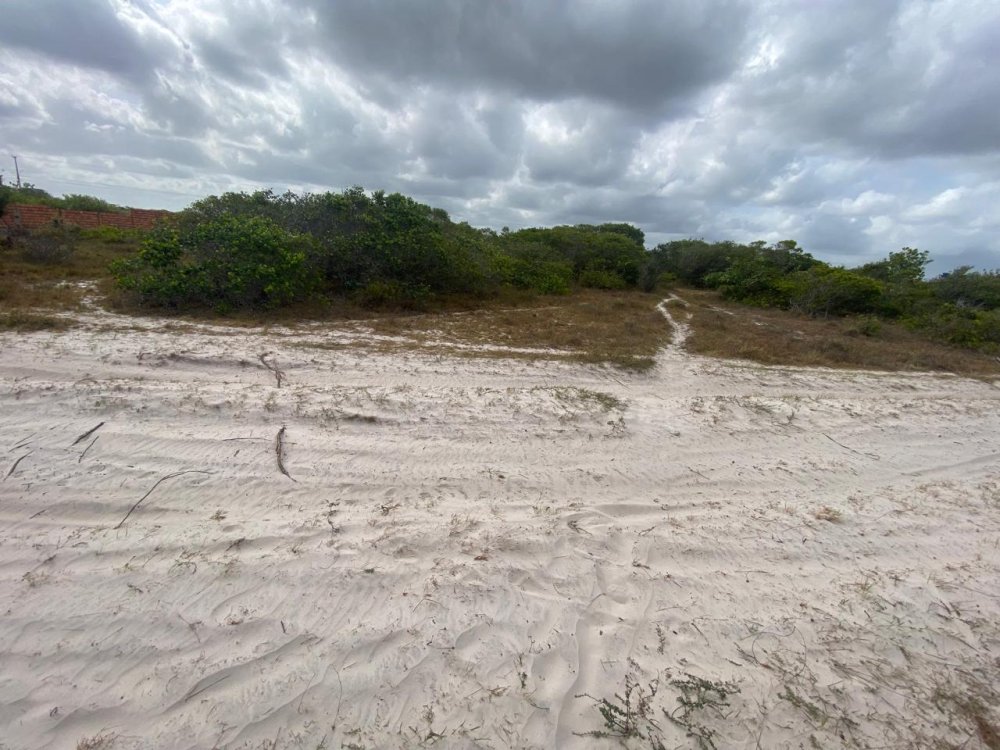 Terreno - Venda - Barrocas - Santo Amaro - MA